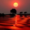 EDANUR