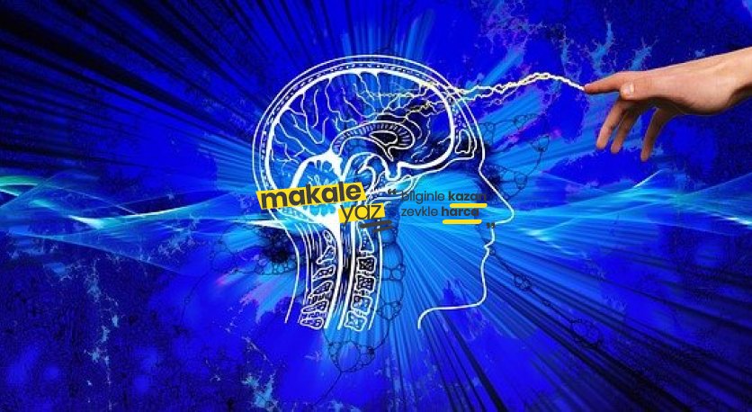 Felsefe ve Psikoloji Makaleleri 