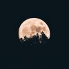 FuulMoon