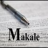 Makaleyazarii1